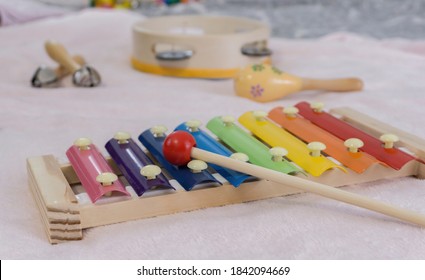 Colorful Musical Instruments For Children For Early Stimulation, Motor Skills And Music Learning From A Young Age