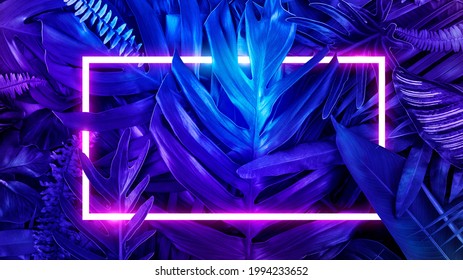 Colorful nature concept, Neon colorful of tropical leaves with neon frame, Leaf of plant, Creativity and design, Blue tone. - Powered by Shutterstock