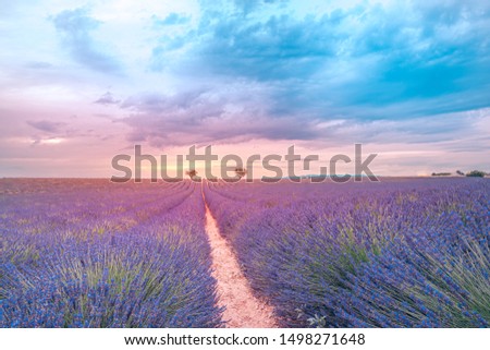 Colorful nature landscape. Romantic summer view of lavender field and sunset sky. Summer landscape meadow and flowers, orange purple colors. Dreamscape, peaceful nature. Inspirational landscape