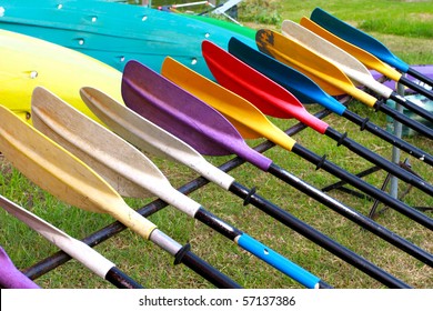 Colorful Oars In Garden