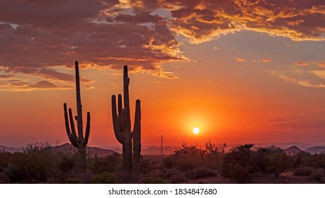 Colorful  Orange Tinted Desert Sunset Skies With  Saguaro Cactus In Scottsdale, AZ