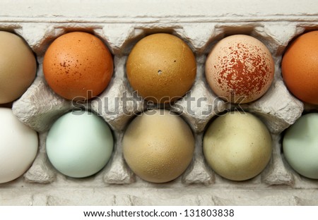 Colorful organic chicken eggs in a egg carton. These eggs were produced in small batches by a variety of chicken species so they appeared in different colors, patterns, and sizes.