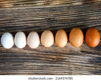 Colorful organic chicken eggs in row on wooden table from light to dark. Eggs produced in small batches by variety of chicken species so they appeared in different colors, patterns, sizes. Top view