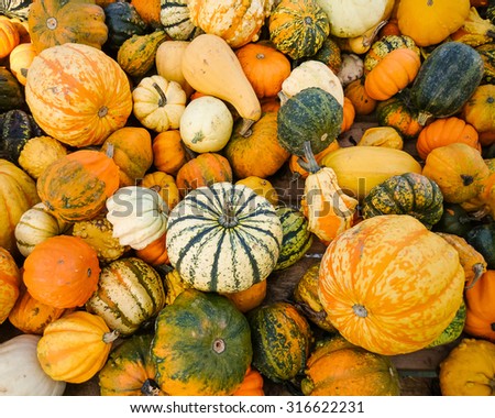 Similar – Image, Stock Photo Pumpkins Food Vegetable