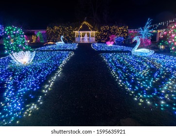 Colorful Outdoor Park Christmas Holiday Light Display With Blue Lights, Swans, Lily Flowers And Gazebo.