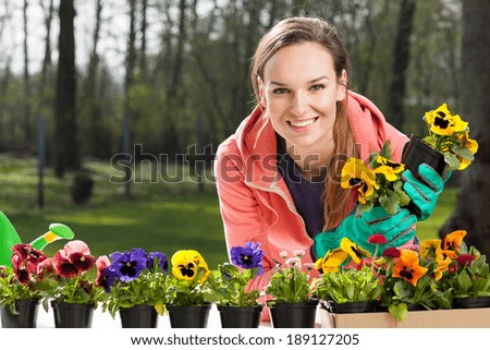 Similar – Image, Stock Photo pansies Pansy