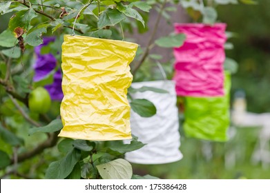 13,992 Lanterns hanging trees Images, Stock Photos & Vectors | Shutterstock