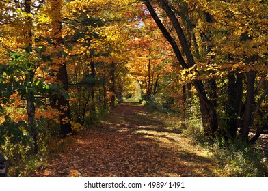 Colorful path in autumn
