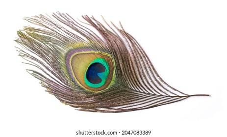colorful peacock feather, isolated on white background - Shutterstock ID 2047083389