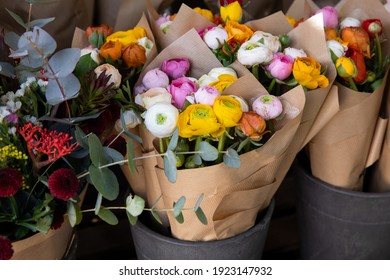 Ranunculus Asiaticus 스톡 사진 이미지 및 사진 Shutterstock