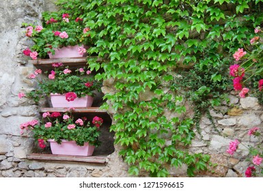 Colorful pink geraniums in flowerboxes with ivy growing on a stone wall at a flower festival in Girona, Spain