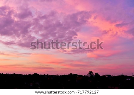 Colorful pink and purple clouds of the sky during sunset in Australia in winter, black silhouettes of houses and palm trees below