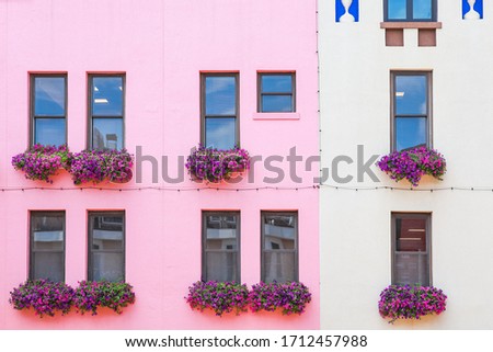 Colorful pink and white building with flowers in window boxes 