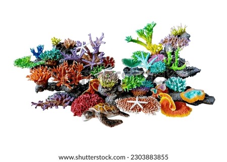 Colorful plaster coral isolated on white background with clipping path.
