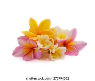 Hawaiian Lei Flower Images, Stock Photos & Vectors | Shutterstock