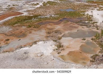 Colorful Pools In A Shoshone Geyser Basin In Yellowstone National Park In Wyoming