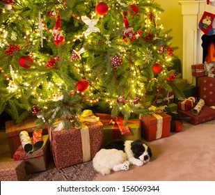 Colorful Presents And A Dog Under The Christmas Tree