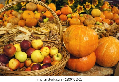 Colorful pumkins and apples in the basket. Harvest market. Tnaksgiving day. Festival 