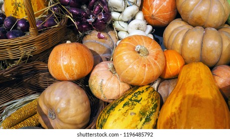   Colorful pumkins, cabbages, onion and hay. Harvest market.  Pumpkins of different varieties and sizes.  Thanksgiving day. Crop. Autumn concept.                               