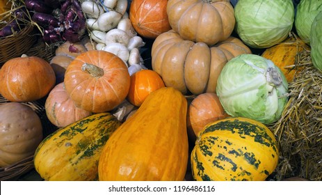  Colorful pumkins, cabbages, onion and hay. Harvest market.  Pumpkins of different varieties and sizes.  Thanksgiving day. Crop. Autumn concept.                                