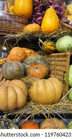  Colorful pumpkins, cabbages, onion and hay. Harvest market.  Pumpkins of different varieties and sizes.  Thanksgiving day. Crop. Autumn concept.                               