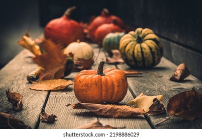 Colorful Pumpkins With Fallen Leaves On A Wooden Veranda