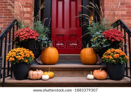 Colorful Pumpkins and Flowers on the Stairs of an Old Brownstone Home in New York City during Autumn