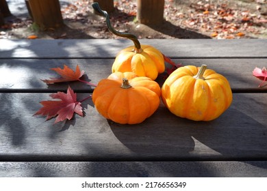 Colorful Pumpkins On Wooden Table Backgrounded Outdoor. Thanksgiving, Halloween And Autumn Harvest Concept Decoration Background.