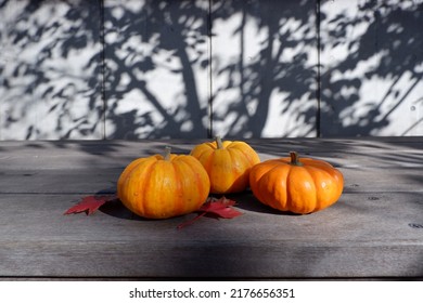 Colorful Pumpkins On Wooden Table Backgrounded Outdoor. Thanksgiving, Halloween And Autumn Harvest Concept Decoration Background.