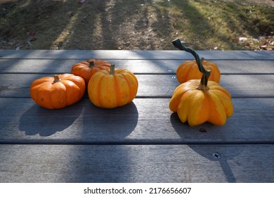 Colorful Pumpkins On Wooden Table Backgrounded Outdoor. Thanksgiving, Halloween And Autumn Harvest Concept Decoration Background.