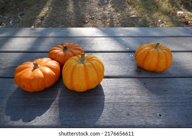 Colorful Pumpkins On Wooden Table Backgrounded Outdoor. Thanksgiving, Halloween And Autumn Harvest Concept Decoration Background.