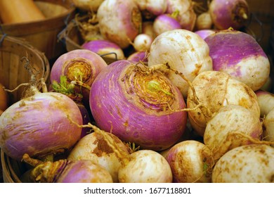 Colorful Purple And Orange Turnip Vegetable At A Winter Farmers Market