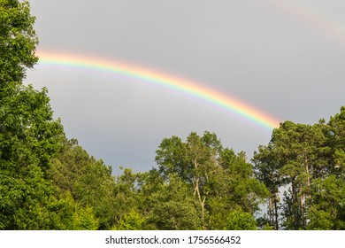 A colorful rainbow arcs between two stands of trees.