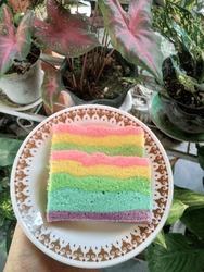 Colorful Rainbow Cake With Soft Texture And Sweet Taste On A Ceramic Plate With Garden Background.