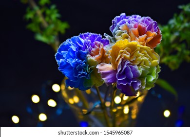 Colorful Rainbow Carnations Close Up