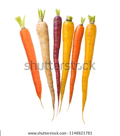 Similar – Image, Stock Photo Colorful variety of carrots from the vegetable garden