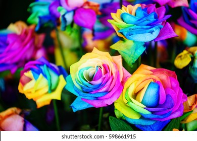 Colorful Rainbow Roses Made By Water Stock Photo 598661915 | Shutterstock