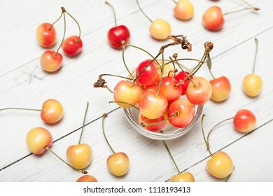 Colorful Rainier Cherry, Sweet Delicious Fruit.