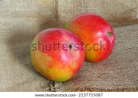 colorful ripe fresh kent mango isolated on jute fabric background 