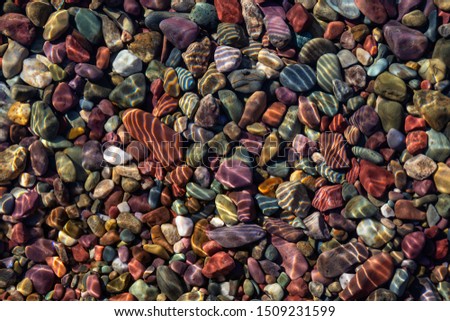 Colorful Rocks in a Glacier Lake during a sunny summer day. Taken in Lake McDonald, Glacier National Park, Montana, USA.