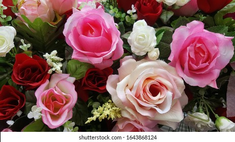 Fleur D Amour Images Photos Et Images Vectorielles De Stock Shutterstock