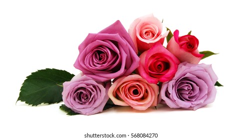 Colorful roses, beautiful flower bouquet on white background 
