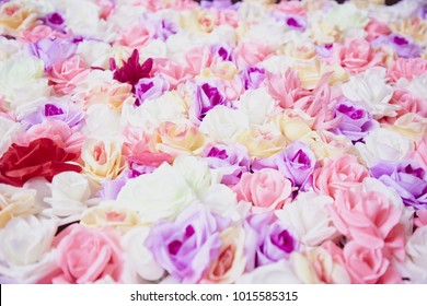 colorful roses wall background. close up.