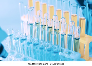 Colorful Rows Of Laboratory Test Tubes And Microscope With Metal Lens, Science Background. Test Tube Row. Concept Of Medical Or Science Laboratory, Close Up, Macro Photography Picture.