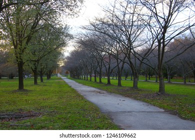 Colorful Rows Of Trees: Fairmount Park, Philadelphia,PA - USA