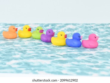 Colorful Rubber Ducks , All My Ducks In A Row Concept Selective Focus