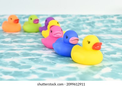 Colorful Rubber Ducks , All My Ducks In A Row Concept Selective Focus