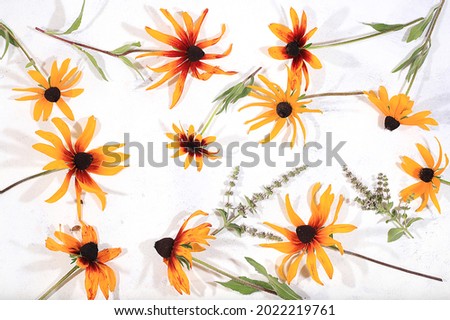 Colorful rudbeckia flowers Abstract flower arrangement Autumn background. Greeting card happy Thanksgiving, Happy Mother's Day, Women's Day, Happy birthday, wedding, flat layout, selective focus