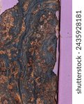 Colorful rust patterns with small spider framed by flaking purple paint