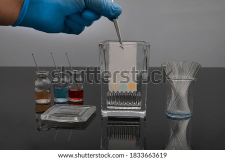 Colorful sample application of thin layer chromatography. The process of developing samples in the tlc system for analysis of compound's purity.